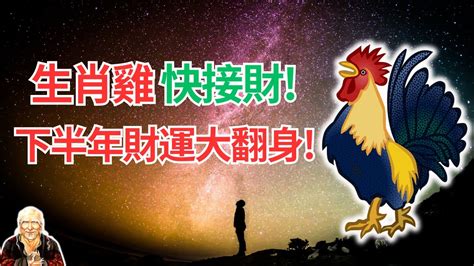 雞幸運色|2024屬雞幾歲、2024屬雞運勢、屬雞幸運色、財位、禁忌